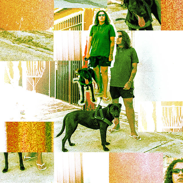 Não Paro