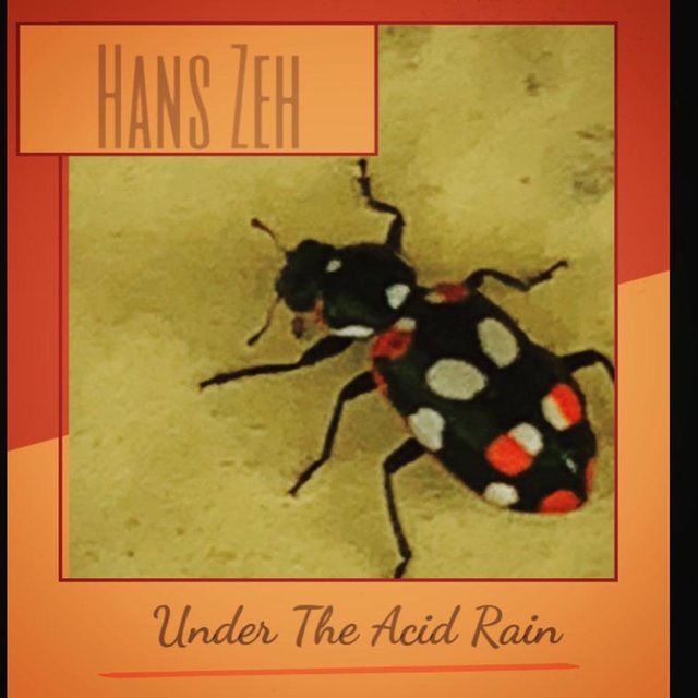 Under the Acid Rain