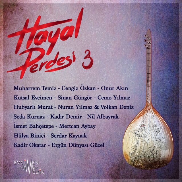Hayal Perdesi 3