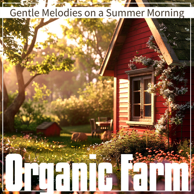 Gentle Melodies on a Summer Morning
