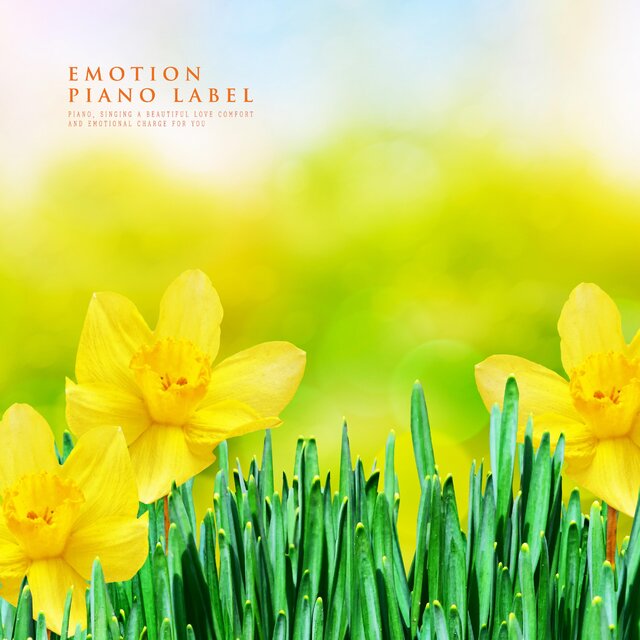 A Warm Emotional Piano With Warmth