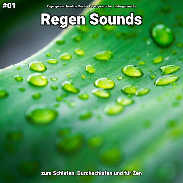 #01 Regen Sounds zum Schlafen, Durchschlafen und für Zen