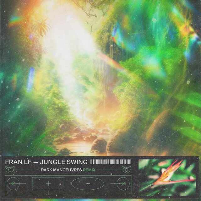 Jungle Swing