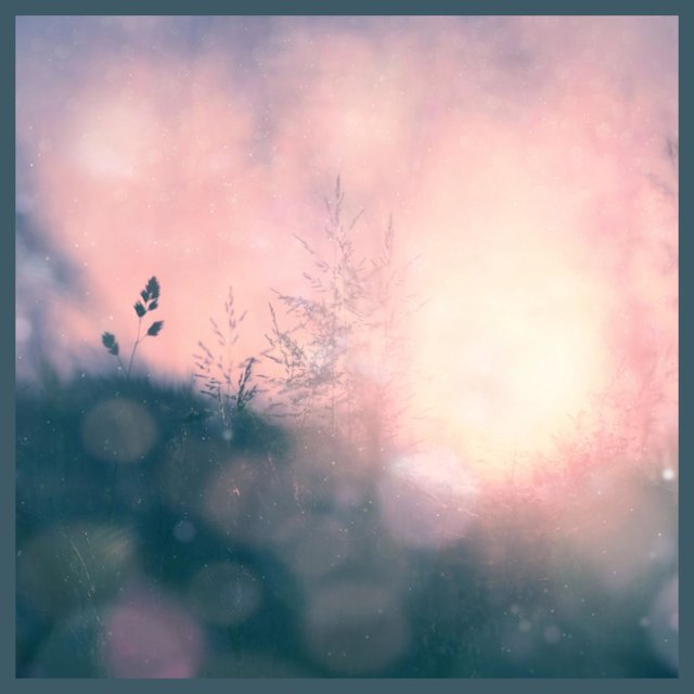 Daydreamer