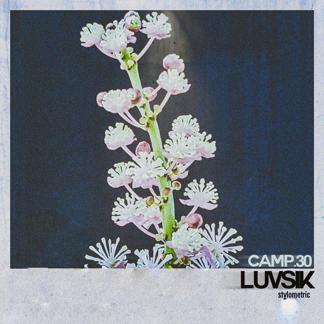 Luvsik