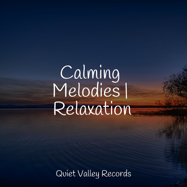 Calming Melodies | Relaxation