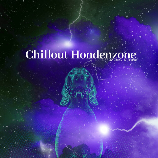 Chillout Hondenzone