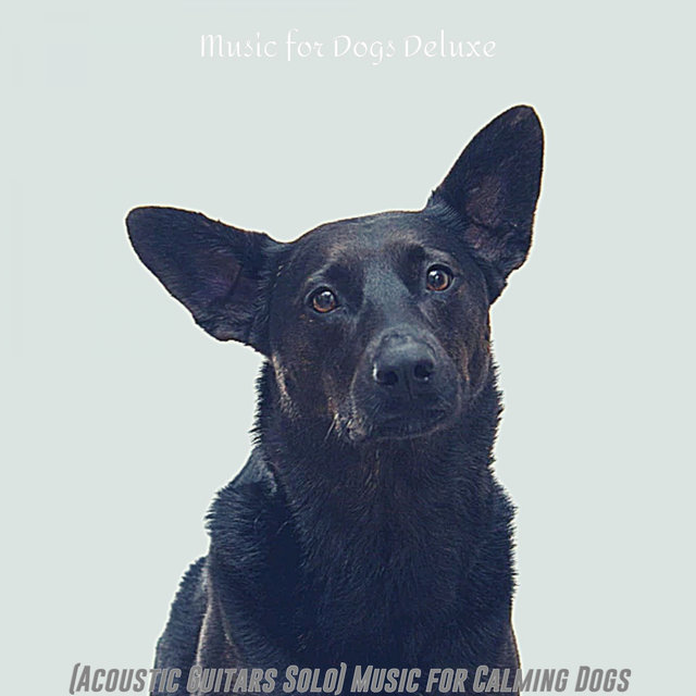 (Acoustic Guitars Solo) Music for Calming Dogs