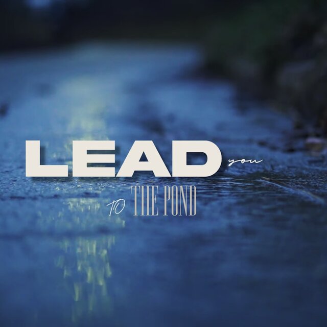 Lead You to The Pond