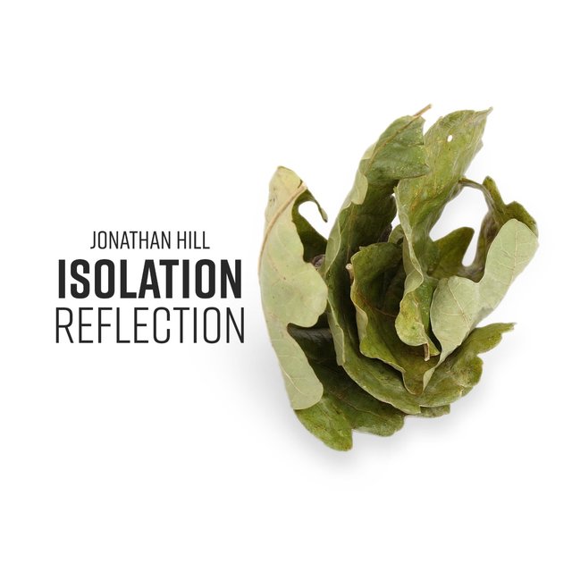 Isolation Reflection