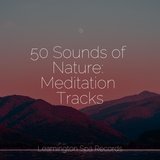 Sleeping Music