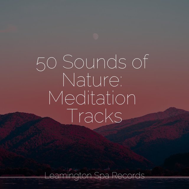 50 Sounds of Nature: Meditation Tracks