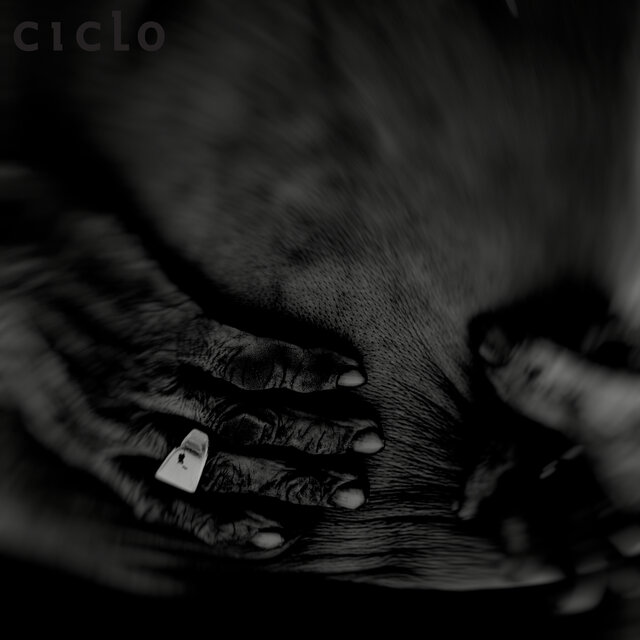 Ciclo