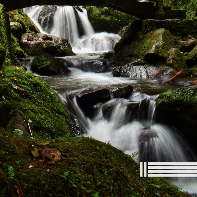 Forest Stream Sounds