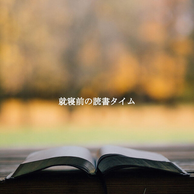 就寝前の読書タイム