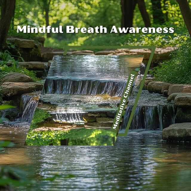 Mindful Breath Awareness