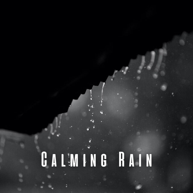 Calming Rain: Gentle White Noise and Rain for Pet's Stress Relief