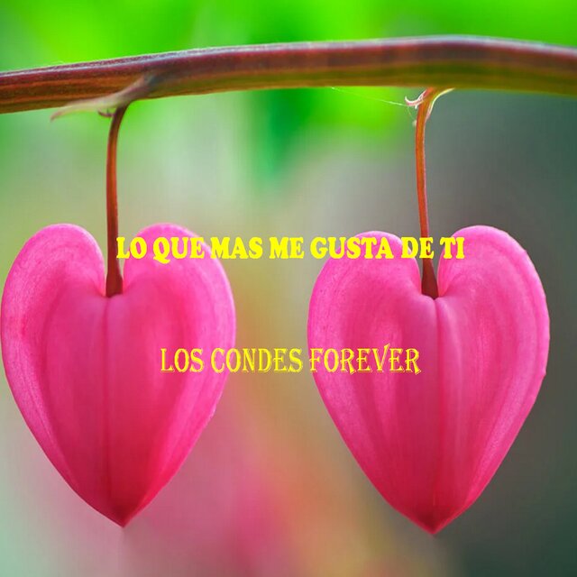 LO QUE MAS ME GUSTA DE TI
