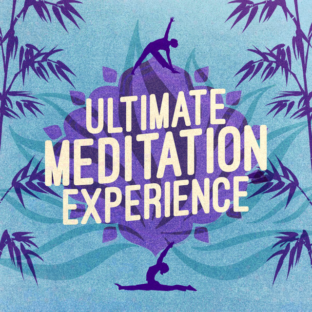 Ultimate Meditation Experience