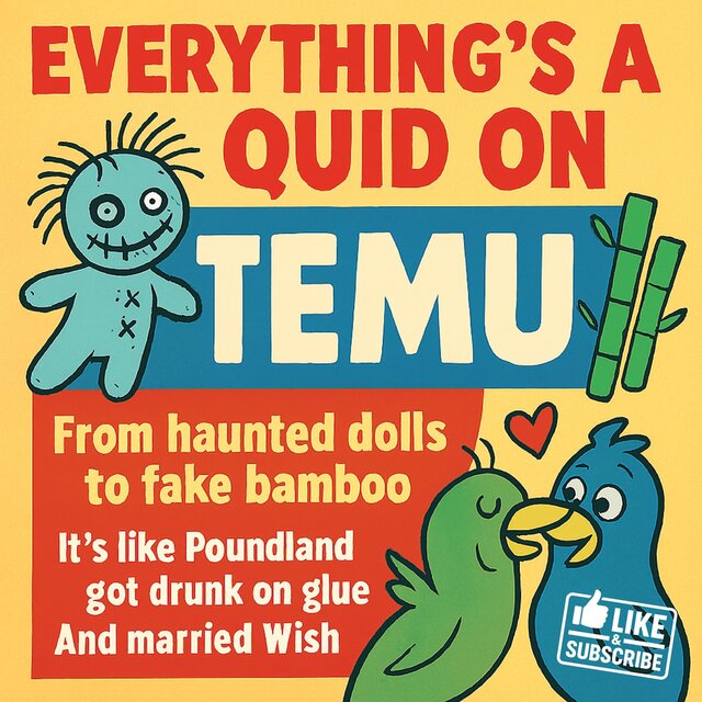 Everything’s a Quid on TEMU