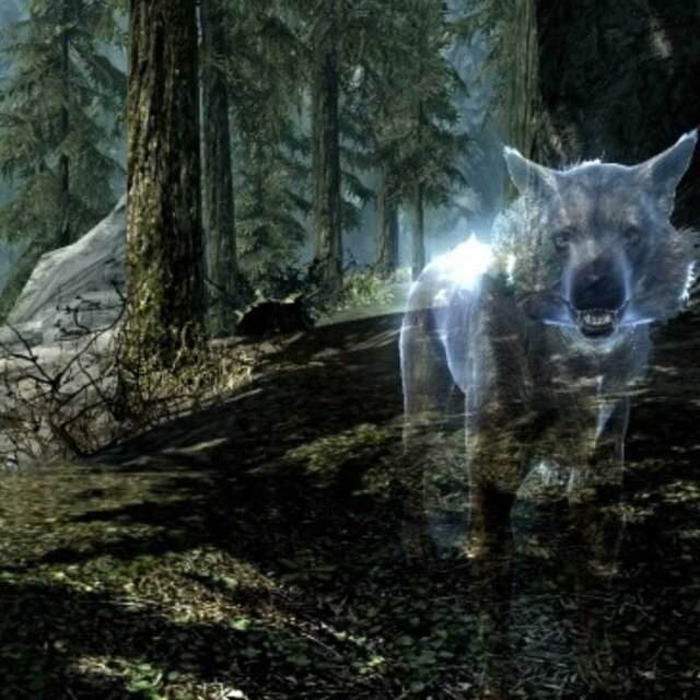SKYRIM