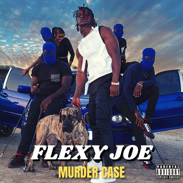 Murder Case