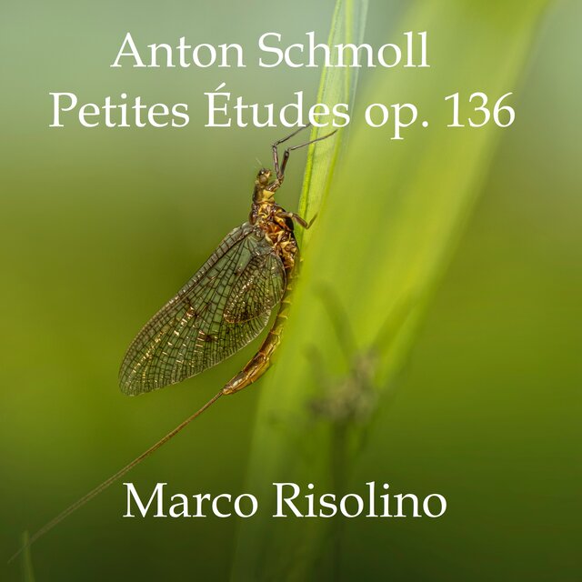Petites Études op. 136
