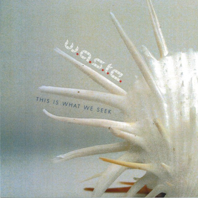 This Is What We Seek (2-Disc Limited Edition)
