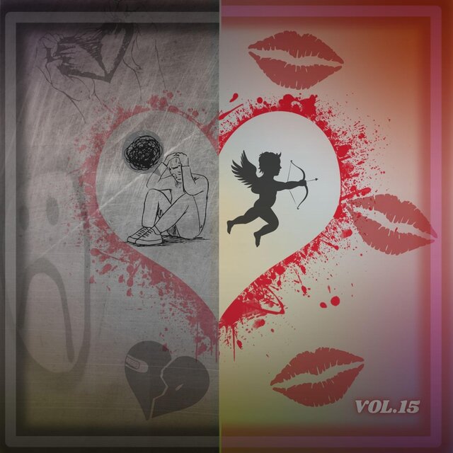 CANCIONES A MI ESTILO, Vol. 15