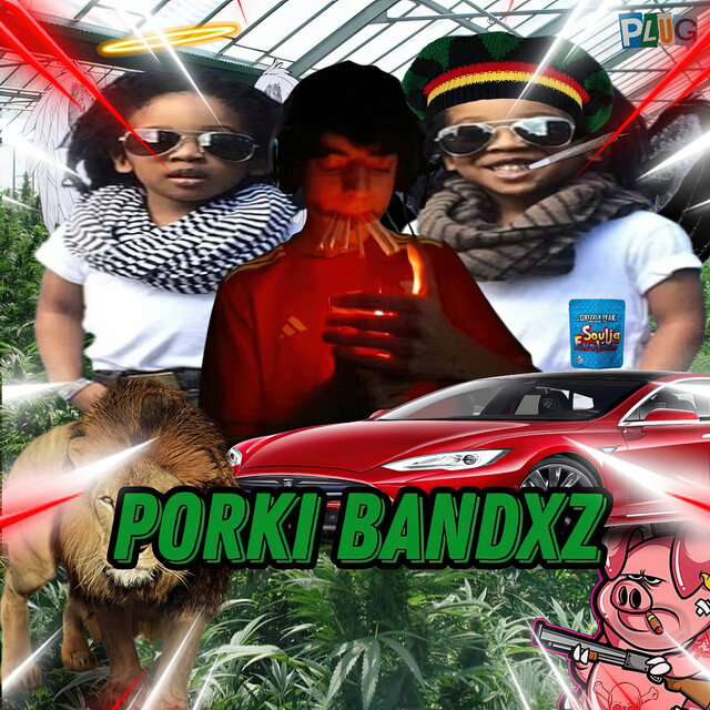 Porki Bandxz
