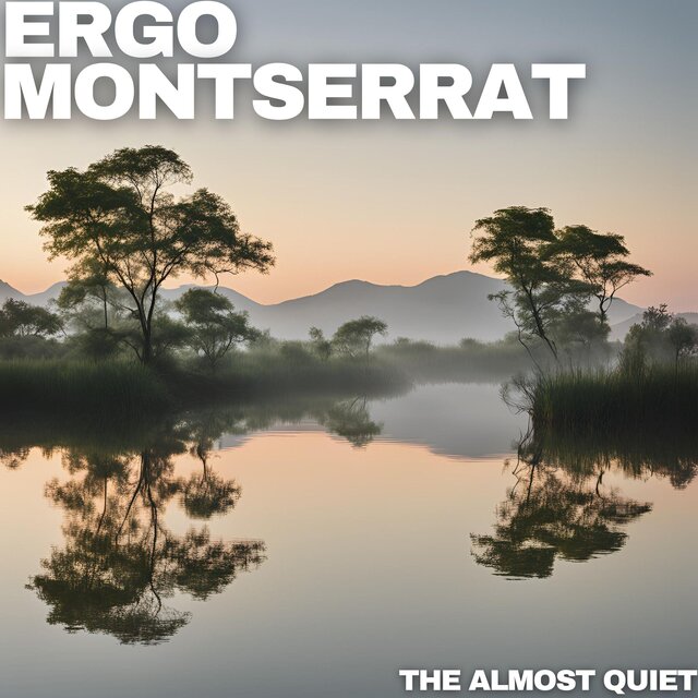 The Almost Quiet