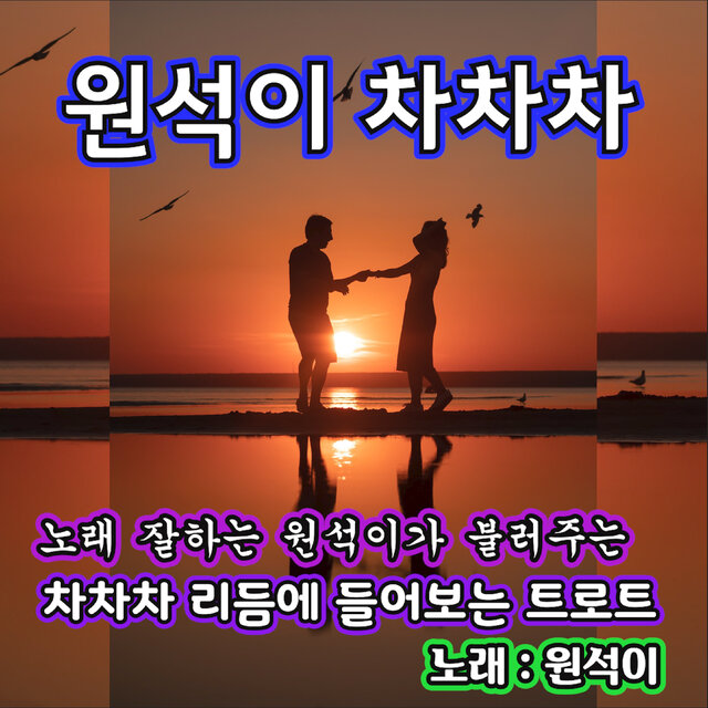 원석이 차차차