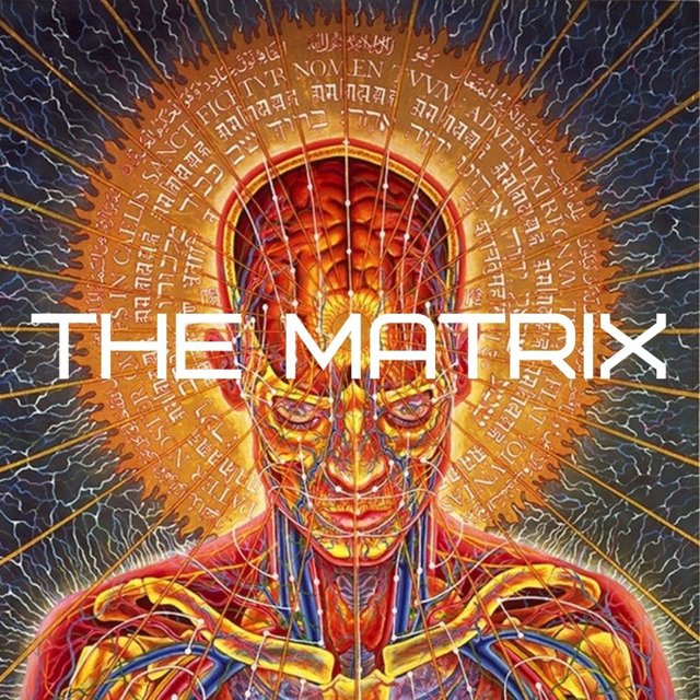The Matrix