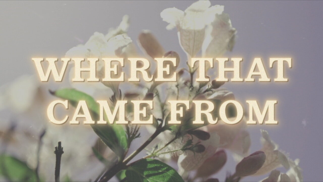Where That Came From (Lyric Video)