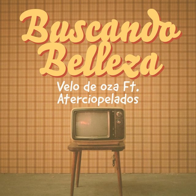 Buscando Belleza