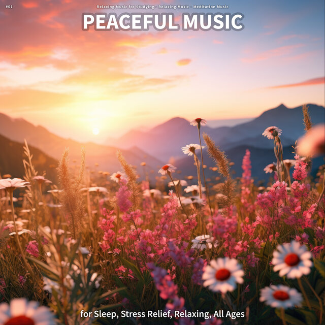 #01 Peaceful Music for Sleep, Stress Relief, Relaxing, All Ages