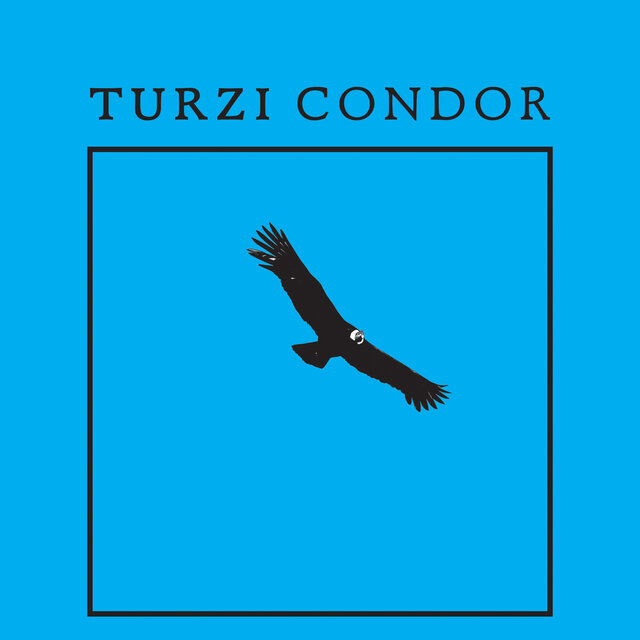 Condor