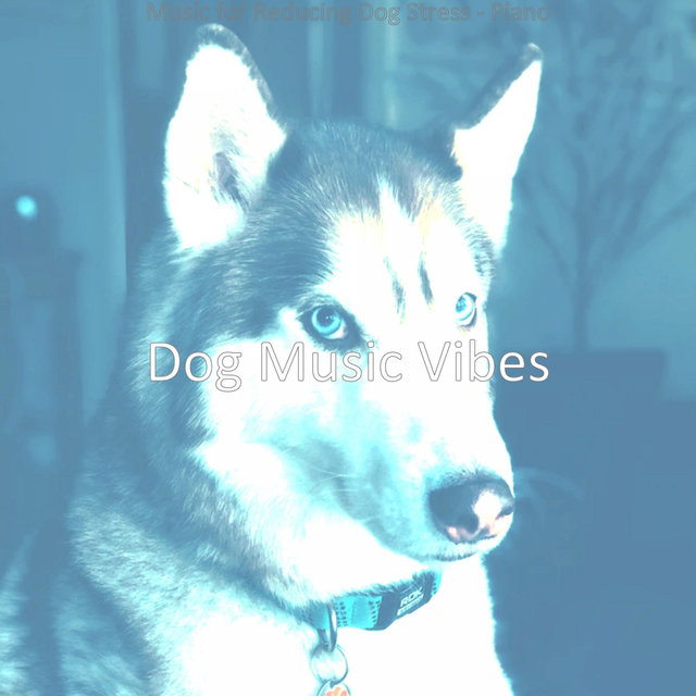 Music for Reducing Dog Stress - Piano