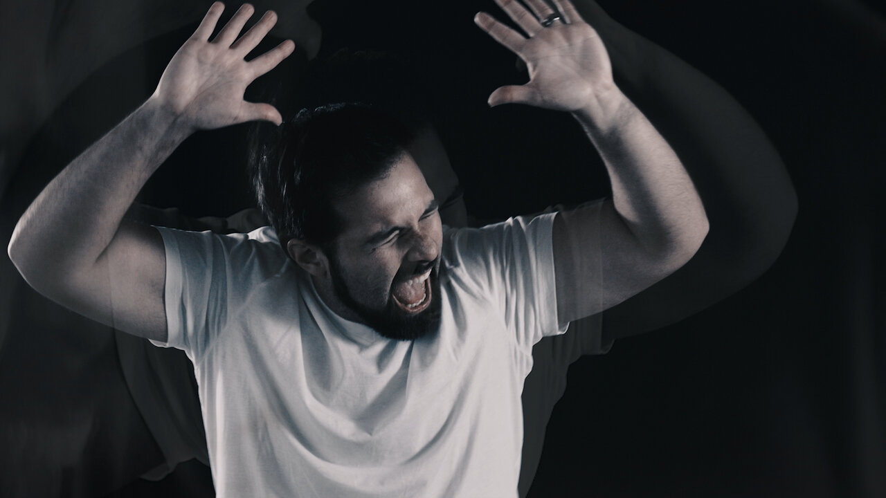 Never Back Down (Official Video)