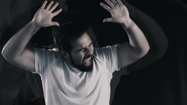 Never Back Down (Official Video)