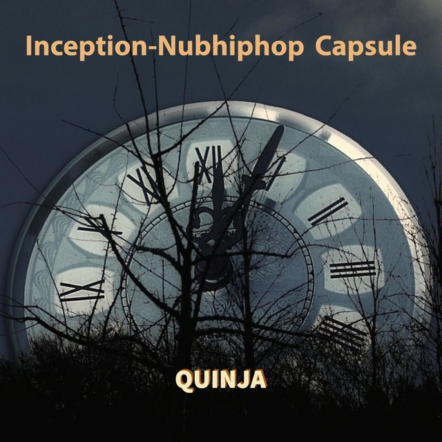 Inception-Nubhiphop Capsule