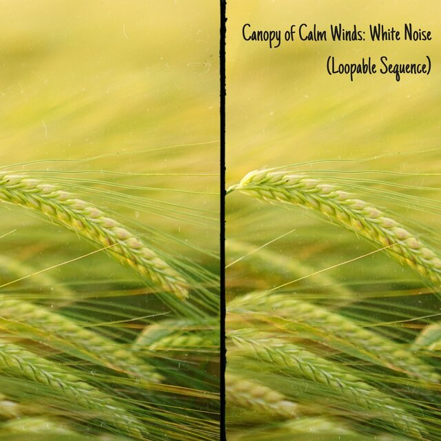 Canopy of Calm Winds: White Noise (Loopable Sequence)