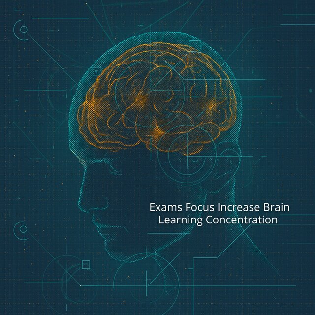 Exams Focus Increase Brain Learning Concentration