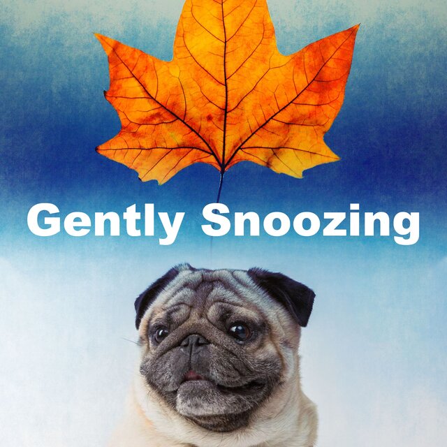 Gently Snoozing