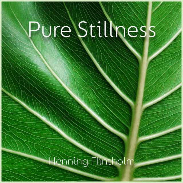 Pure Stillness