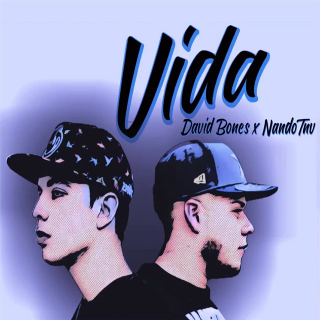 Vida