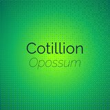 Cotillion Opossum