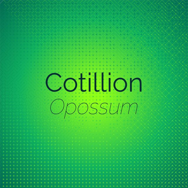 Cotillion Opossum