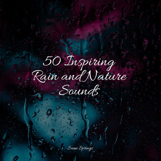 50 Inspiring Rain and Nature Sounds