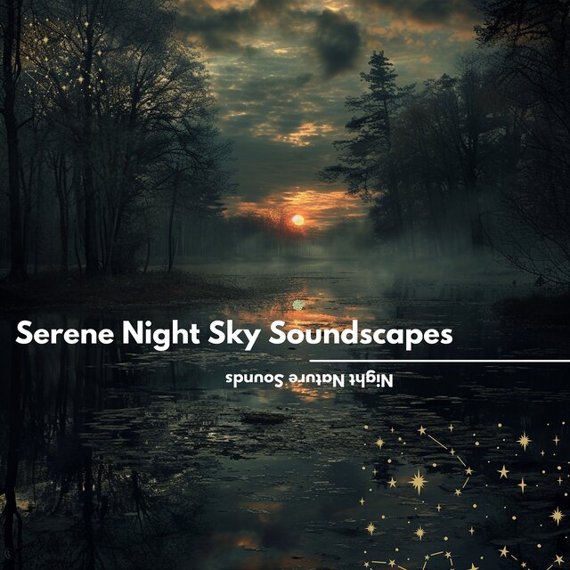 Serene Night Sky Soundscapes